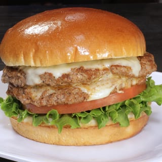 Double Turkey Burger